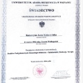Powiększ obraz: certificate 1
