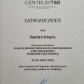 Powiększ obraz: certificate 4