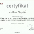 Powiększ obraz: certificate 11