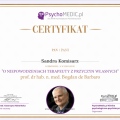 Powiększ obraz: certificate 11