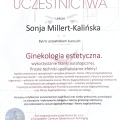 Powiększ obraz: certificate 5