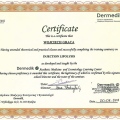 Powiększ obraz: certificate 7