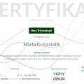 Powiększ obraz: certificate 4