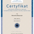 Powiększ obraz: certificate 1
