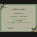 Powiększ obraz: certificate 13