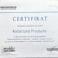 Powiększ obraz: certificate 11