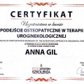 Powiększ obraz: certificate 10
