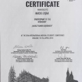 Powiększ obraz: certificate 1