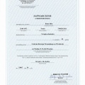 Powiększ obraz: certificate 1