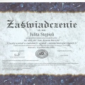 Powiększ obraz: certificate 29