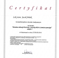 Powiększ obraz: certificate 9