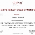 Powiększ obraz: certificate 13