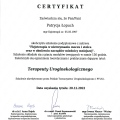 Powiększ obraz: certificate 1