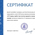 Powiększ obraz: certificate 19