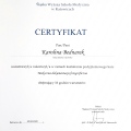 Powiększ obraz: certificate 16