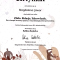 Powiększ obraz: certificate 2