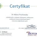 Powiększ obraz: certificate 4