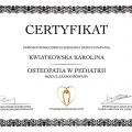 Powiększ obraz: certificate 12