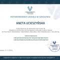 Powiększ obraz: certificate 2