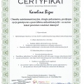 Powiększ obraz: certificate 4