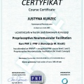 Powiększ obraz: certificate 15