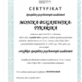 Powiększ obraz: certificate 1