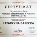 Powiększ obraz: certificate 6