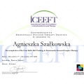 Powiększ obraz: certificate 7