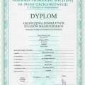 Powiększ obraz: certificate 3