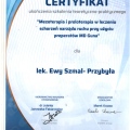 Powiększ obraz: certificate 3