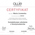 Powiększ obraz: certificate 27