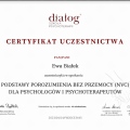 Powiększ obraz: certificate 29