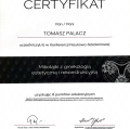 Powiększ obraz: certificate 4