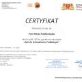 Powiększ obraz: certificate 4