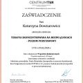 Powiększ obraz: certificate 2