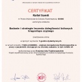 Powiększ obraz: certificate 1