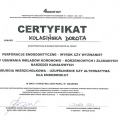 Powiększ obraz: certificate 5