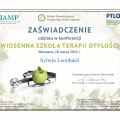 Powiększ obraz: certificate 1