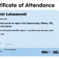 Powiększ obraz: certificate 6