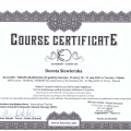 Powiększ obraz: certificate 9