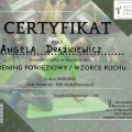 Powiększ obraz: certificate 8