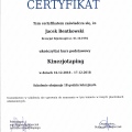 Powiększ obraz: certificate 8