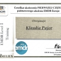 Powiększ obraz: certificate 4