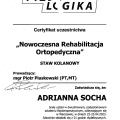 Powiększ obraz: certificate 5