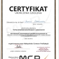 Powiększ obraz: certificate 12