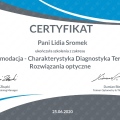 Powiększ obraz: certificate 2