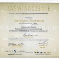 Powiększ obraz: certificate 8
