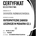 Powiększ obraz: certificate 6