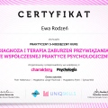 Powiększ obraz: certificate 8
