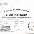 Powiększ obraz: certificate 8